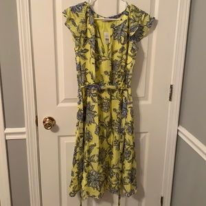 BRAND NEW Loft dress